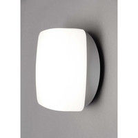 アイリスオーヤマ LEDポーチ・浴室灯 角型 昼白色相当 1020lm IRCL10N-SQPLS-BS（直送品）