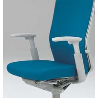 オカムラ エスクードチェア用 ハイ可動肘 ペールグレー C4529Y G726（直送品）