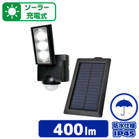 朝日電器 ソーラー式センサーライト1灯 ESL-311SL（直送品）