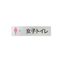 フジタ 会社向けクリスタル B-IN1-0205女子トイレ 平付型アルミ（直送品）