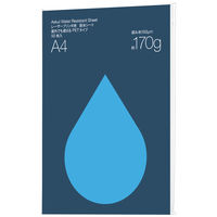 耐水紙カレカ 光沢片面印刷厚手 白 A4 MW5-A4250N 1冊（250枚入） （取