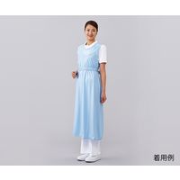 アズワン 入浴介助エプロン(防水加工) ブルー 8-5909-02 1枚（直送品）
