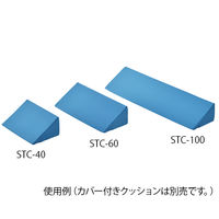 アズワン 体位固定クッション 600mm用 交換カバー 8-8680-11 1枚（直送品）