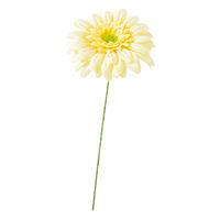 ヘッズガーベラフルリールーS/ベビーイエローー2 1セット（60本：12本×5パック）