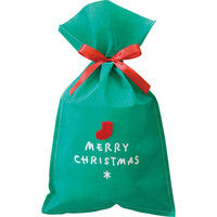 ヘッズ シンプルクリスマスグリーン不織布バッグ-M XG-M 1セット（50枚：10枚×5パック）（直送品）