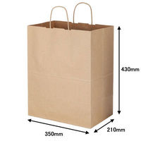 丸紐 クラフト紙手提袋ベーシック 350×430×210 茶 50枚：50枚入×1袋 オリジナル（わけあり品）