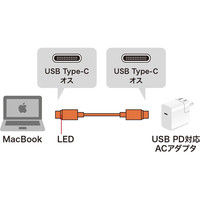サンワサプライ MacBook用LED付きTypeC充電ケーブル 1.5m KU-CCP15MAC 1本（直送品）