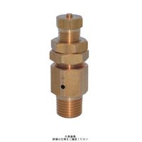 ベン SL38ーD1k1 0.1MPa ふく太郎 青銅/SCS安全逃し弁 SL38-D1K1_20A 1個（直送品） - アスクル