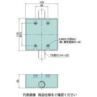 日動電工 露出用スイッチボックス2個用22 1方出 ホワイト HI SW2221WHW 1セット(5個)（直送品）