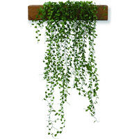 キシマ エクリア 消臭アーティフィシャルグリーンL 2個セット KH-61113X2 1セット（直送品）