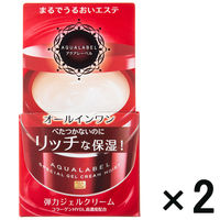 【アウトレット】アクアレーベル スペシャルジェルクリーム （モイスト） 1セット（2個：90g×2） 資生堂