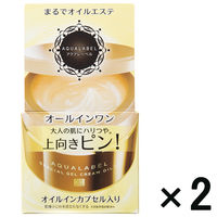 【アウトレット】アクアレーベル スペシャルジェルクリーム （オイルイン） 1セット（2個:90g×2） 資生堂