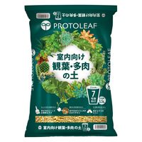 y|pizvg[t ϗtE̓y 3.5L 207431 1