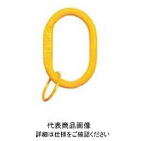 イーグルクランプ マスターリンク MRー10 1セット(3個)（直送品）