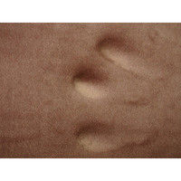 萩原 撥水低反発ラグ マシュマロ 幅1900×奥行2400mm ブラウン 240602834 1枚（直送品）