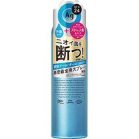 【アウトレット】AGデオ24（エージーデオ） デオドラントパウダースプレー クール L 142g ファイントゥデイ 1個