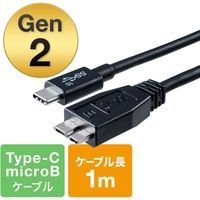 サンワダイレクト USB タイプCケーブル 500-USB054