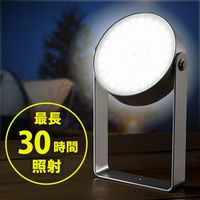 サンワダイレクト LEDライト 800-LED009 1個（直送品）
