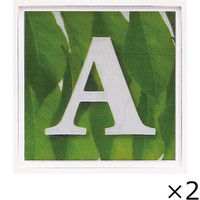ユーパワー アルファベット アートフレーム グリーン A AL-01202-A 1セット（2枚）（直送品）