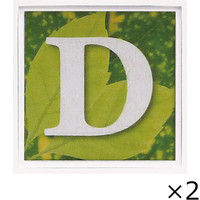 ユーパワー アルファベット アートフレーム グリーン D AL-01202-D 1セット（2枚）（直送品）