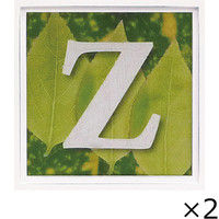 ユーパワー アルファベット アートフレーム グリーン Z AL-01202-Z 1セット（2枚）（直送品）