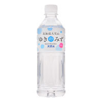 【軟水】ロジネットジャパン 北海道大雪山ゆきのみず 550ml 1セット（48本）