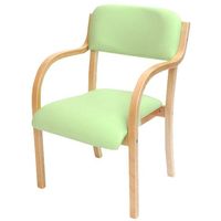 ネットフォース ダイニングチェア 介護用椅子 シエル 完成品 グリーン 介護施設 福祉用 ETV-1-S2-AW 1セット（2脚入）（直送品）