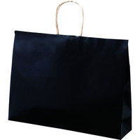 ヤマニパッケージ 紙袋 クラフトブラック 横長 COT-1001 1セット（200枚：100枚クラフト×2個バンド）（直送品）