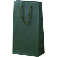 ヤマニパッケージ カラーバック2本入（グリーン） YW-17 1ケース（100枚：10枚袋入×10）（直送品）