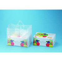 ヤマニパッケージ モストロイヤルバッグ L-1000 1ケース（100枚：10枚袋入×10）（直送品）