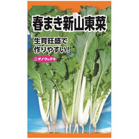 ニチノウのタネ 春蒔新山東菜 日本農産種苗 4960599100108 1セット（5袋入）（直送品）