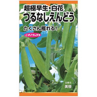 ニチノウのタネ つるなし豌豆（白花・超極早生） 日本農産種苗 4960599102102 1セット（5袋入）（直送品）