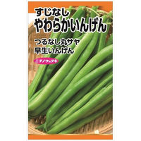 ニチノウのタネ　やわらかいんげん（すじなし） 4960599187505 1セット（5袋入）（直送品）