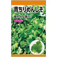 ニチノウのタネ　青ちりめん（しそ）　日本農産種苗　4960599190901　1セット（5袋入）（直送品）