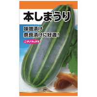 ニチノウのタネ 本しま瓜 日本農産種苗 4960599108203 1セット（5袋入）（直送品）