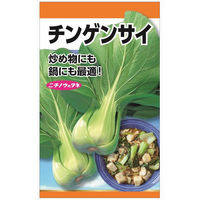 ニチノウのタネ チンゲンサイ 日本農産種苗 4960599111906 1セット（5袋入）（直送品）