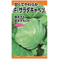 ニチノウのタネ F1サラダキャベツ 日本農産種苗 4960599114402 1セット（3袋入）（直送品）