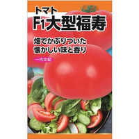 ニチノウのタネ F1大型福寿（トマト） 日本農産種苗 4960599115300 1セット（3袋入）（直送品）