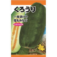 ニチノウのタネ 黒うり 日本農産種苗 4960599117809 1セット（5袋入）（直送品）