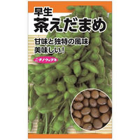 ニチノウのタネ 茶枝豆（早生） 日本農産種苗 4960599119605 1セット（5袋入）（直送品）