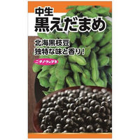 ニチノウのタネ 黒枝豆 日本農産種苗 4960599119704 1セット（5袋入）（直送品）