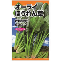 ニチノウのタネ ほうれん草 日本農産種苗