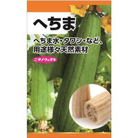 ニチノウのタネ へちま（糸瓜） 日本農産種苗 4960599140401 1セット（5袋入）（直送品）