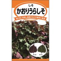 ニチノウのタネ かおりうらしそ 日本農産種苗 4960599140500 1セット（5袋入）（直送品）
