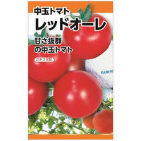 ニチノウのタネ カネコ交配 レッドオーレ（トマト） 日本農産種苗 4960599145505 1セット（3袋入）（直送品）
