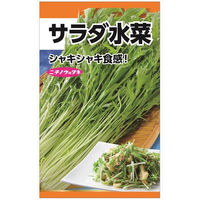 ニチノウのタネ サラダ水菜 日本農産種苗 4960599145901 1セット（5袋入）（直送品）