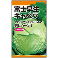 ニチノウのタネ キャベツ（富士早生） 日本農産種苗 4960599148704 1セット（5袋入）（直送品）