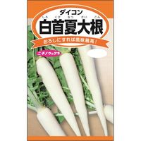 ニチノウのタネ 白首夏大根 日本農産種苗 4960599149701 1セット（5袋入）（直送品）