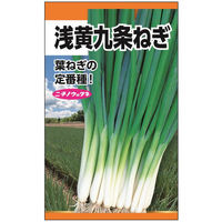 ニチノウのタネ 九条ねぎ（浅黄） 日本農産種苗 4960599149800 1セット（5袋入）（直送品）