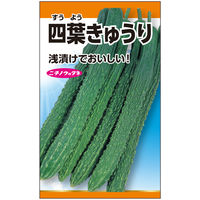 ニチノウのタネ 四葉胡瓜 日本農産種苗 4960599151209 1セット（5袋入）（直送品）